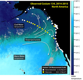 Radiation from Fukushima detected along Vancouver Island shoreline