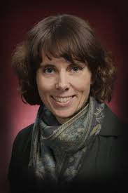 Furstenau: Stop work order is 1st step to permanently halt toxic soil dump near Shawnigan Lake
