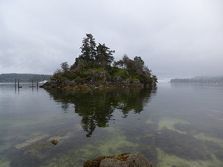 Cowichan Tribes Chief happy to see house on Grace Islet being removed