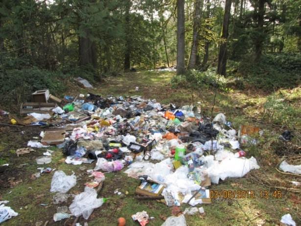 Help Stop Illegal Dumping