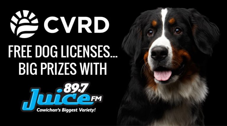 FREE Dog Licenses, Big Prizes from Juice FM and the CVRD!