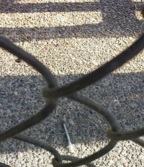 3.4 illicit drug deaths every day in B.C.
