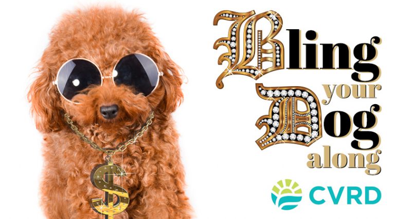 Juice FM and the CVRD Present: Bling Your Dog Along!