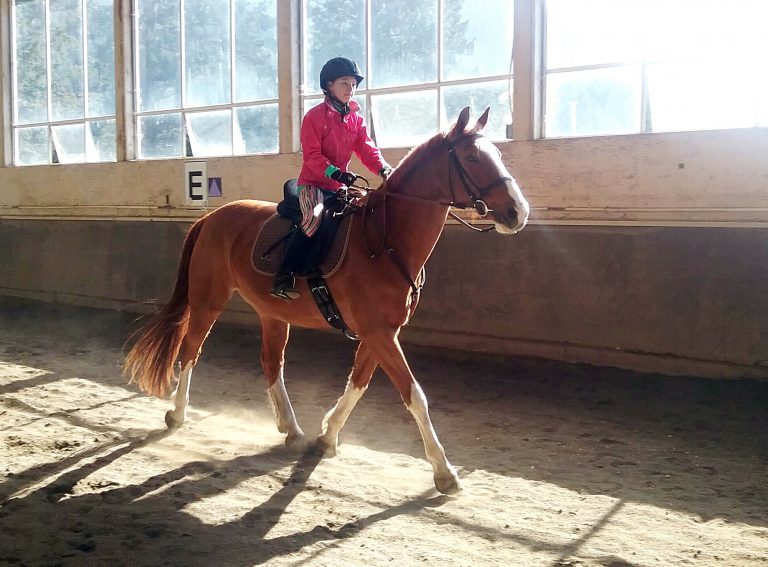 Cowichan Therapeutic Riding Association Receives Funding