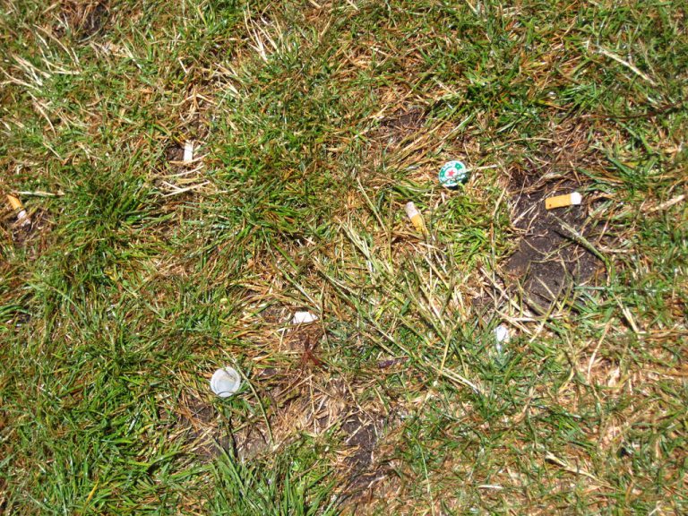 Cigarette Butts: A Major Factor in Wildfires