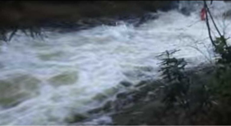 Car Leaks Automotive Fluid into Shawnigan Creek