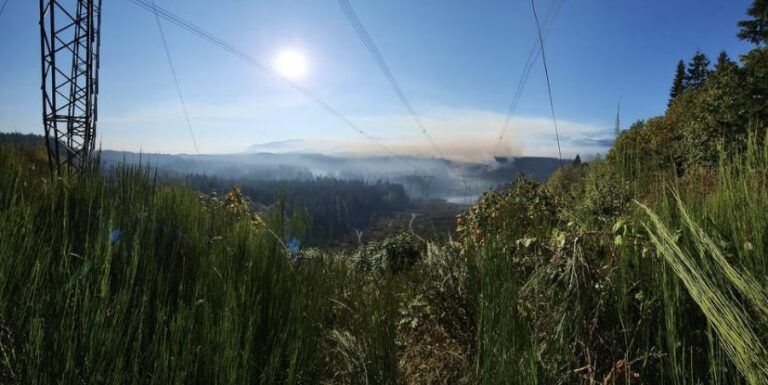 Wildfire burning south of the Cowichan River near Riverbottom Road