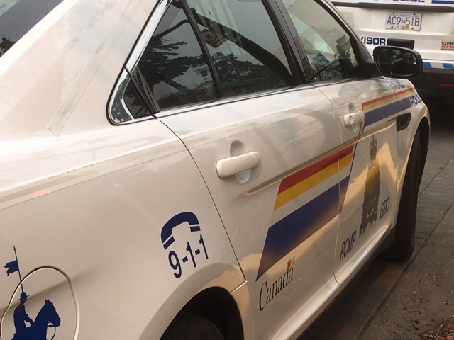 Busy morning for police on Maple Bay Road