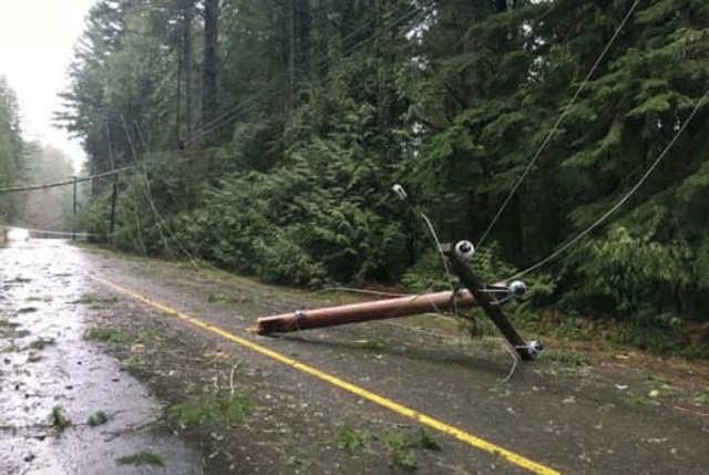 Environment Canada warns of high winds and possible power outages tonight