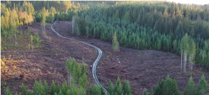 UBC offers to help with forestry planning in North Cowichan