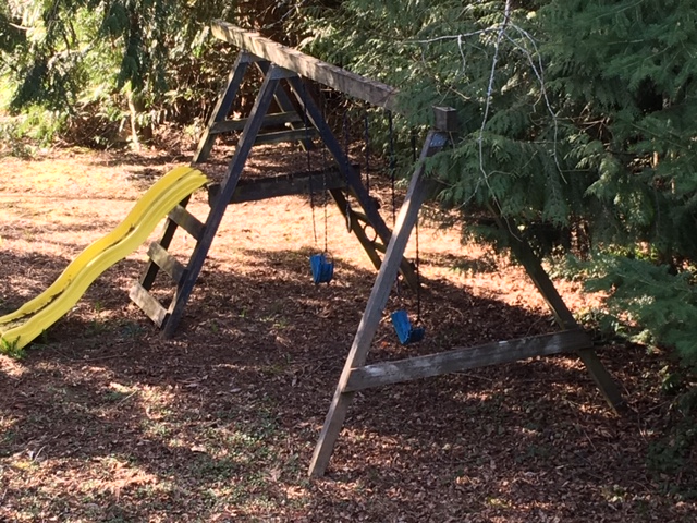 Shawnigan Lake park playgrounds near the end of service