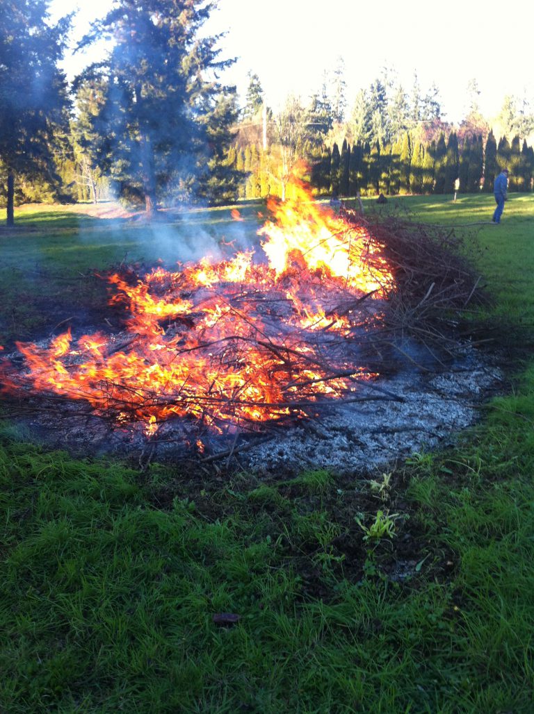 Locals Asked Not to Engage in Backyard Burning