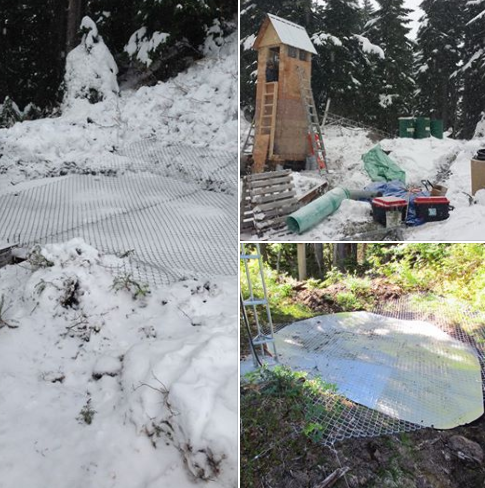 Snowpack under the microscope