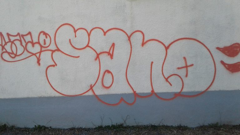 Businesses in Downtown Duncan Vandalized