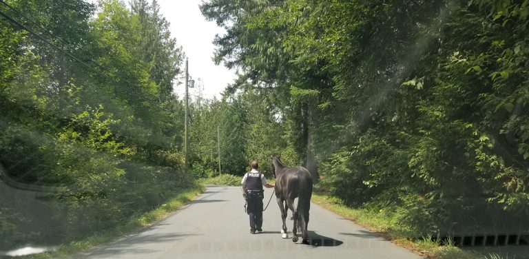 Shawnigan Lake RCMP Responded to an Odd Call