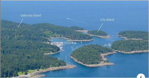 Do You Want a House or an Island?