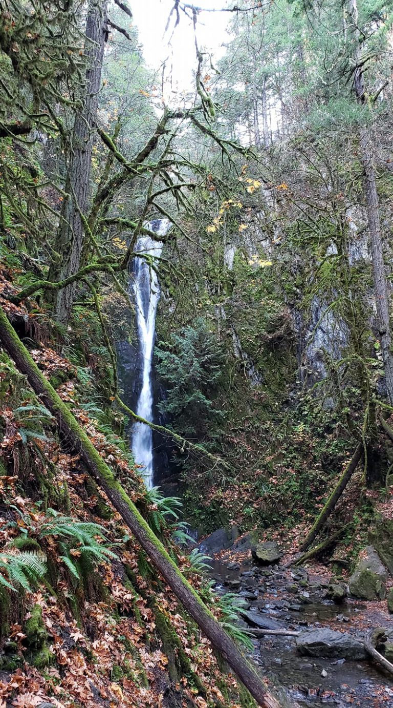 BC Parks Close Nine Sites on Vancouver Island
