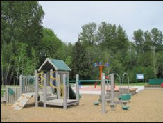 Council unveils possible replacements for Centennial Park play structure