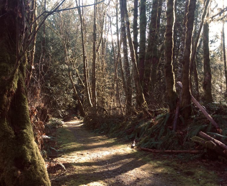 North Cowichan Urges People to Remember to Physical Distance on Trails