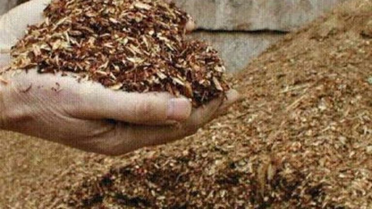 Chipper Days Coming to North Cowichan