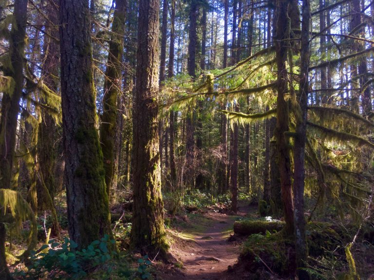 Parks and Trails Remain Open in the Cowichan Valley