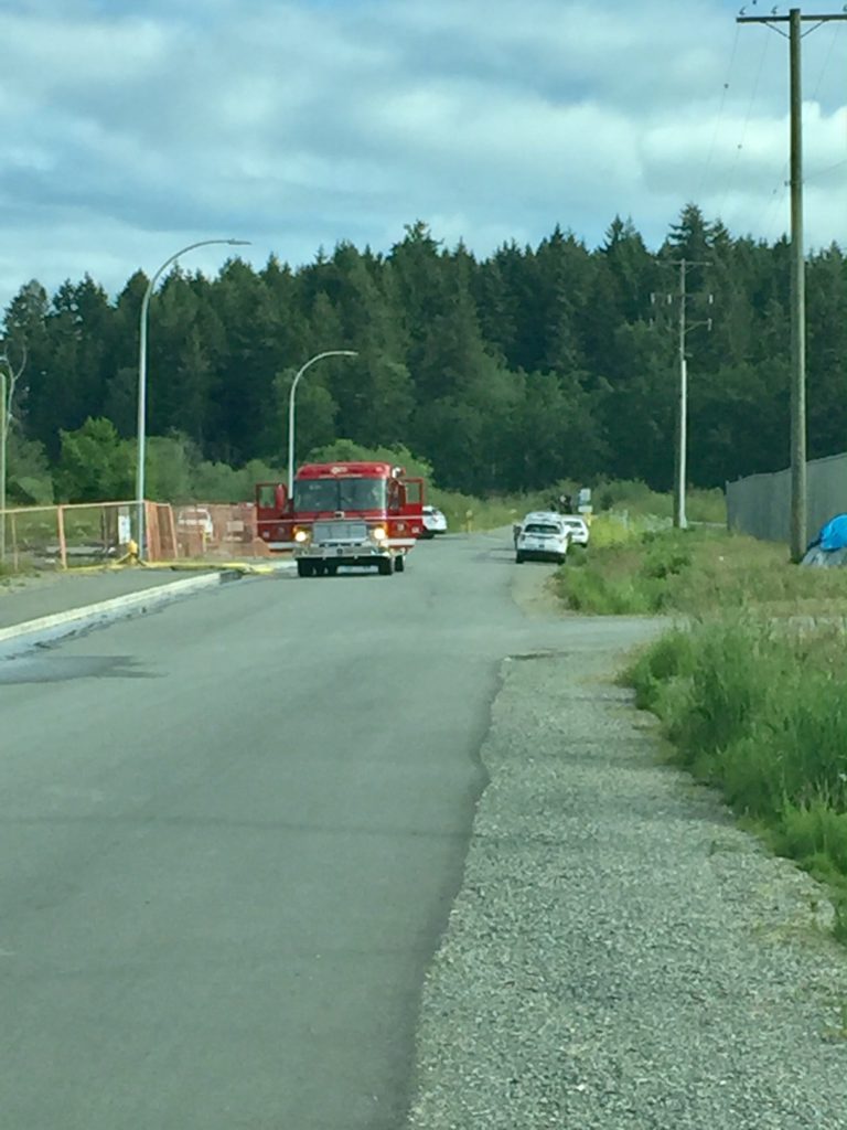 All Fires on Coast have been Preventable