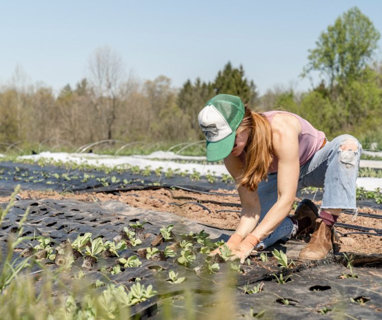 Farmers Lended a Helping Hand Through New Plan
