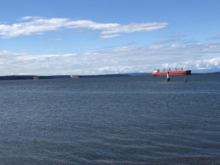Virtual Town Hall to Address Freighters in Coastal Waters
