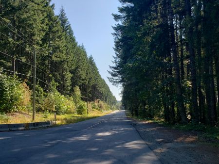 Nanaimo RCMP say Nanaimo River Road “a hotspot” for vehicle thefts 