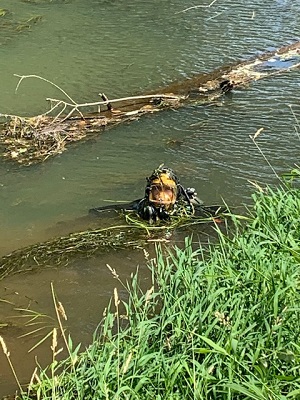 BC RCMP’s Underwater Recovery Team reminding British Columbians to swim safely