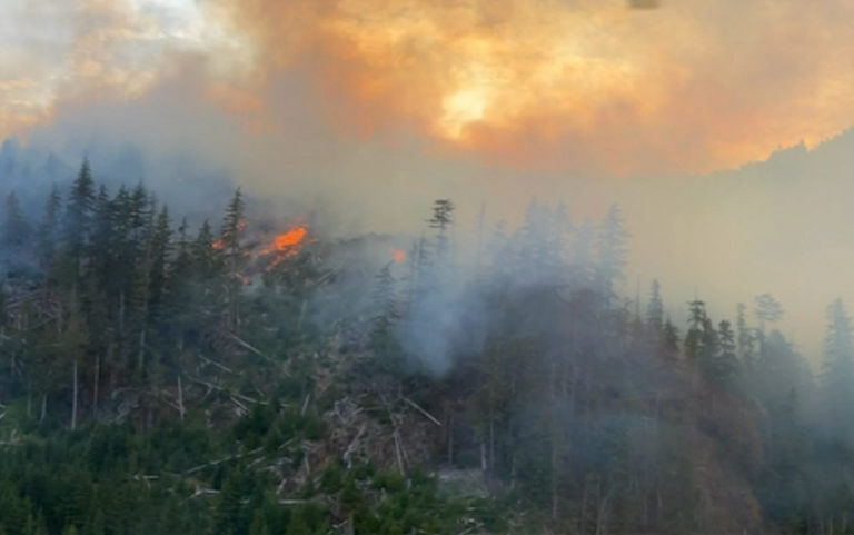 Wildfire North of Cowichan Lake Being Held by Fire Crews