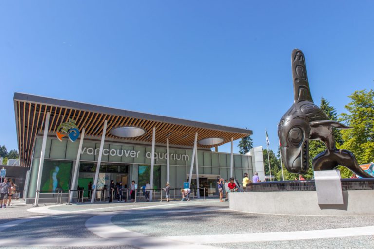 Vancouver Aquarium Closing Until Further Notice