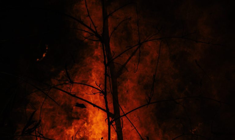 Small Wildfire Burning Near Ladysmith