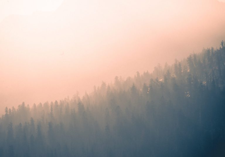 Smoke Alert Continues for Southern Vancouver Island