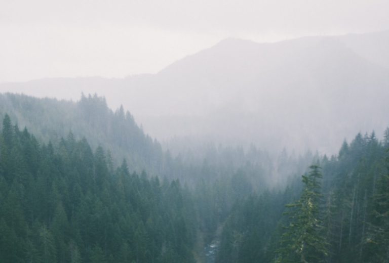 Air Quality Bad for Another Day Over Vancouver Island