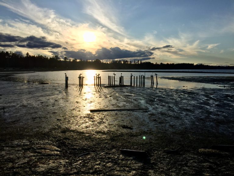 Heatwave expected to sweep over Coastal B.C.