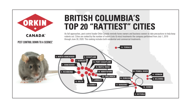 Oh Rats! Two Island Communities Make Top 20 Rattiest Places List