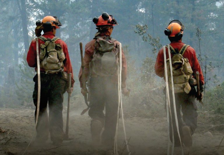 Fire Crews Called to Wildfires South of Shawnigan Lake