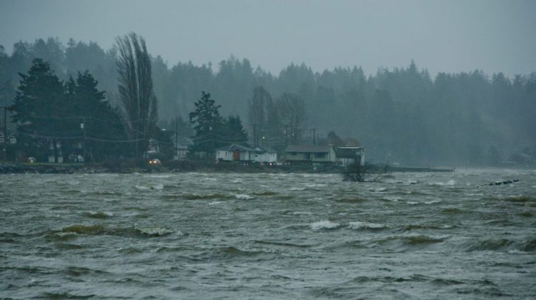 Wind warning issued for parts of BC this afternoon & evening