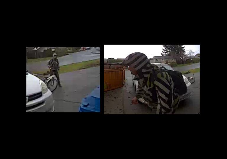 Nanaimo Thief Steals Children’s Backpacks from Daycare
