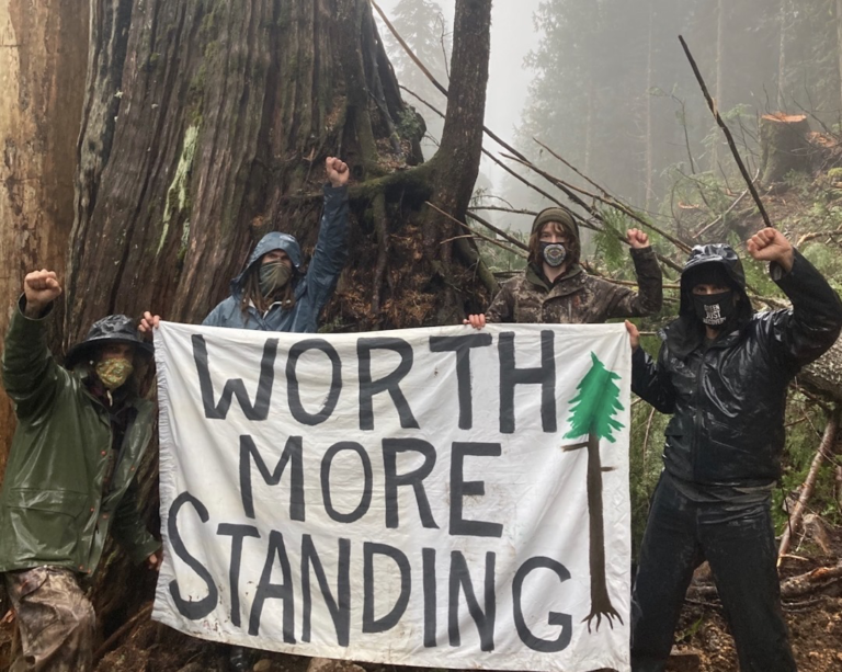 Logging Road Construction Crews Blocked by Protesters