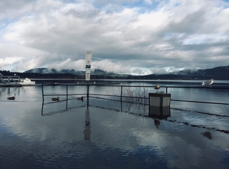 Rain to Ease But Flooding Still Possible in Low-lying Places