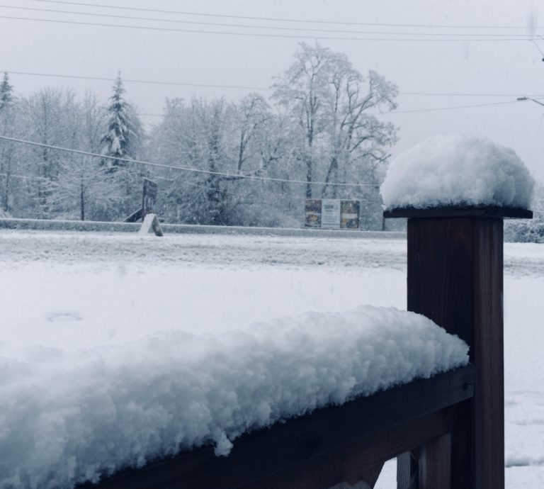 Heavy Snow Forecast on Family Day Long Weekend
