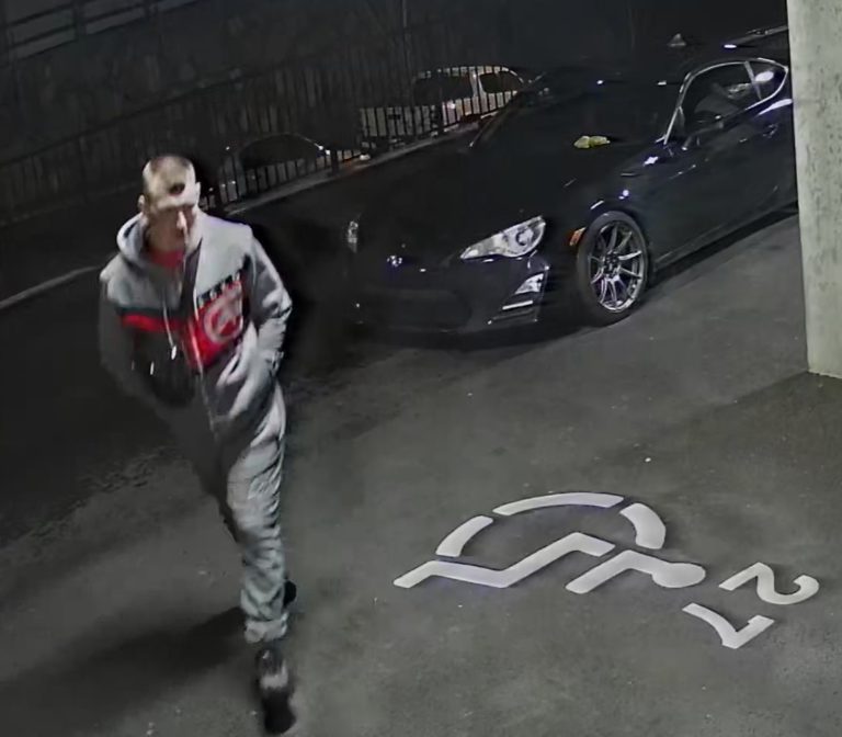 RCMP Seek Suspect in Smoke Grenade Incident at Canadian Tire