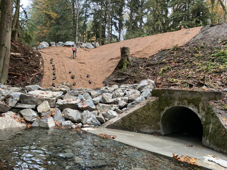 Cowichan Valley Trail Repairs Completed