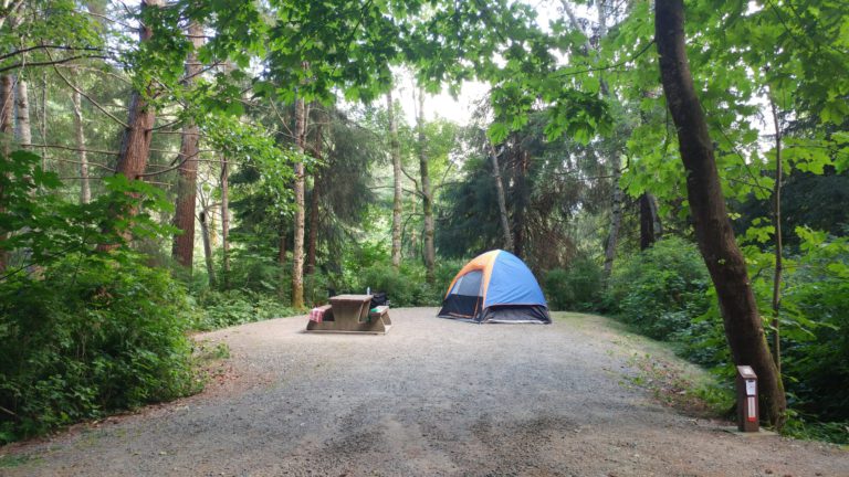 Over 8000 British Columbians book campsites in first few days of registration 