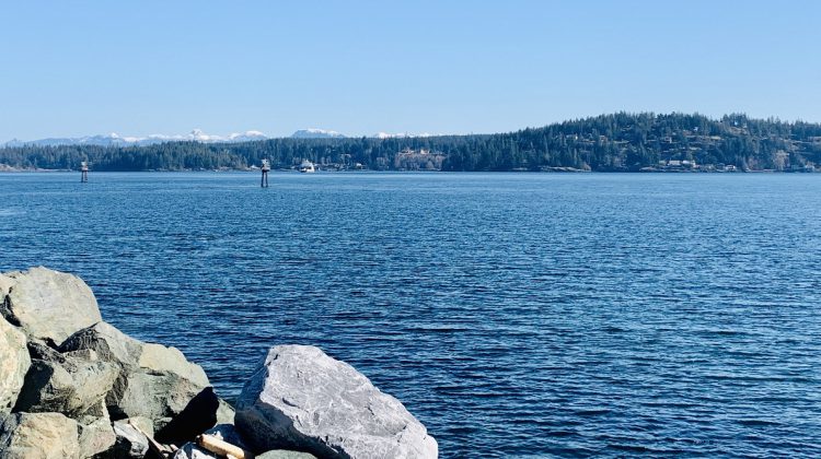 ‘We are at special risk of exposure’: Quadra Island asks visitors to keep away