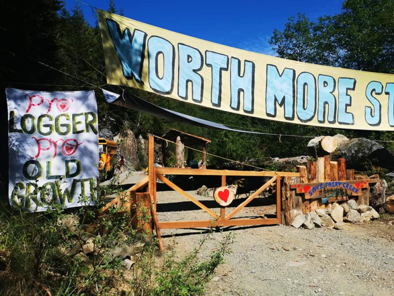 RCMP Impose Controlled Access Zone at Fairy Creek Watershed