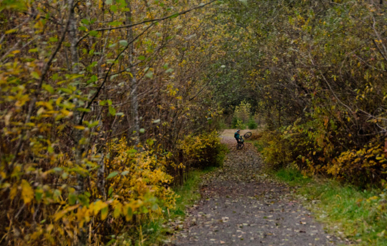 CVRD looks to the future of Old Mount Baldy Park