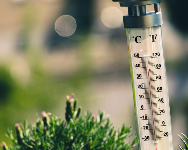 Liberals Want Inquiry into Poor Heatwave Response by Horgan Government